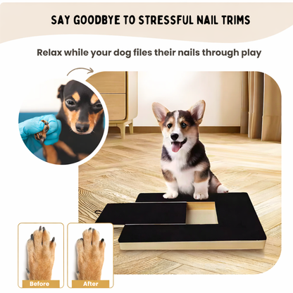 The Pawdicure™ Board