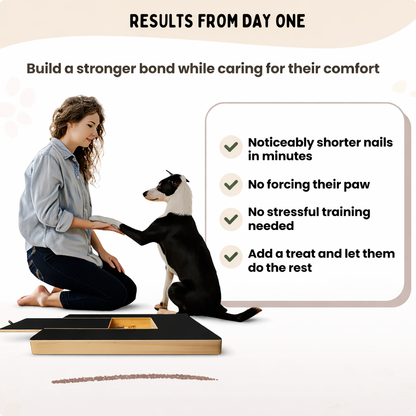 The Pawdicure™ Board